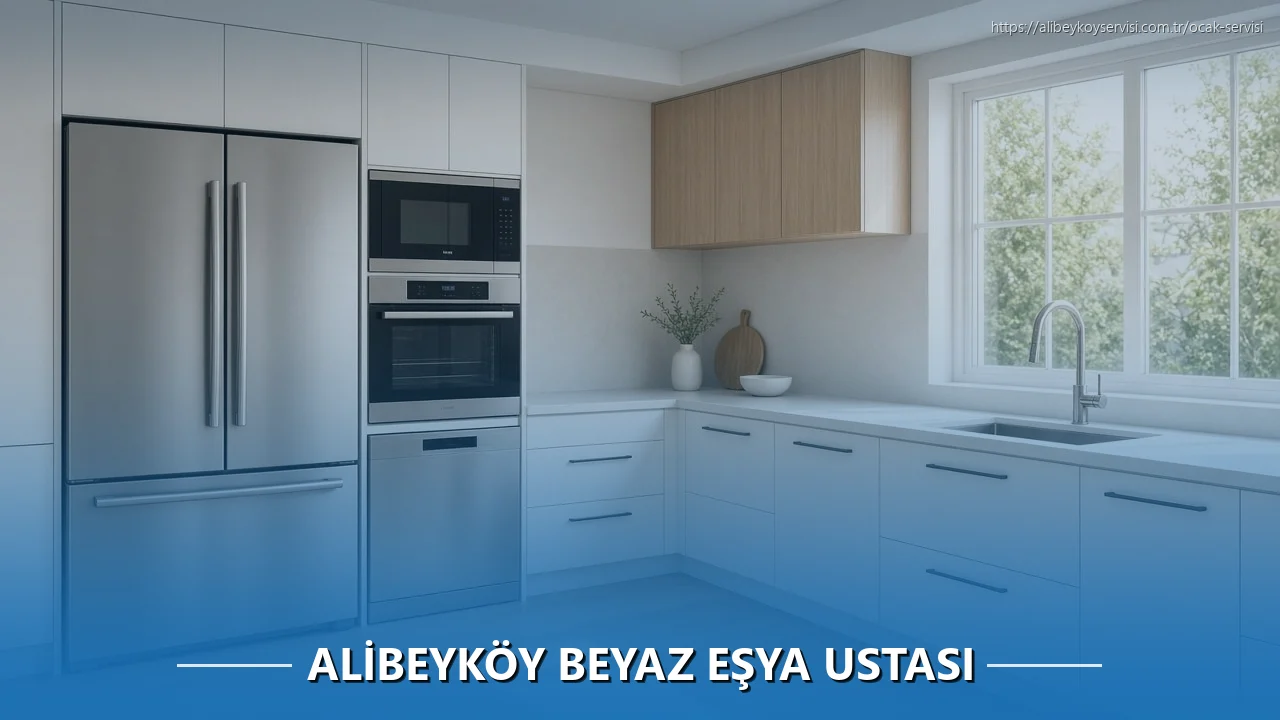 Alibeyköy Servisi İletişim Bilgileri