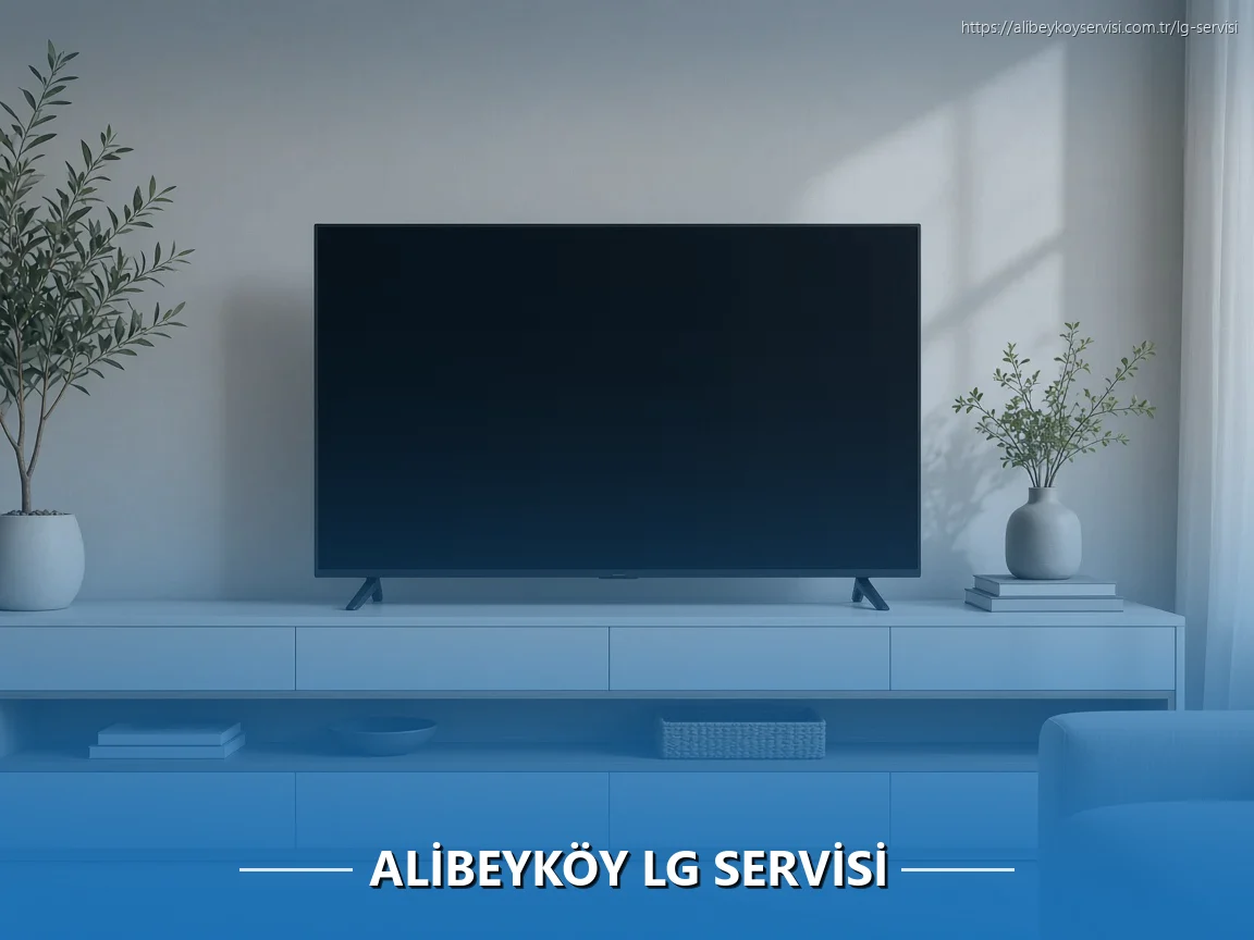 Alibeyköy LG Servisi
