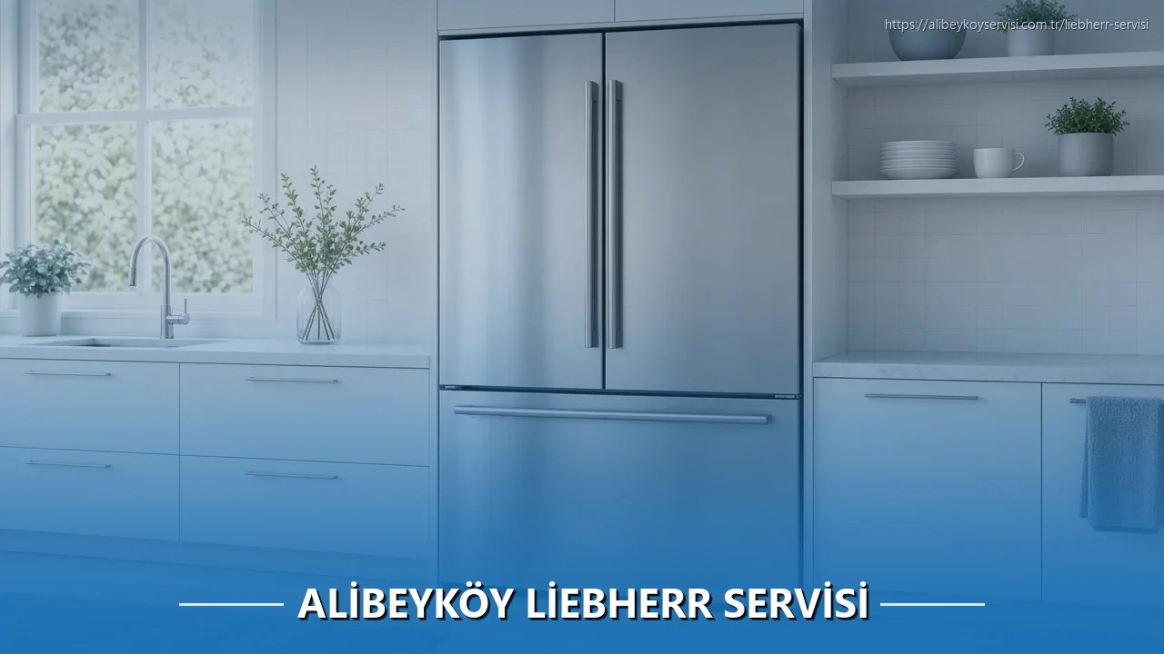 Alibeyköy Liebherr Servisi